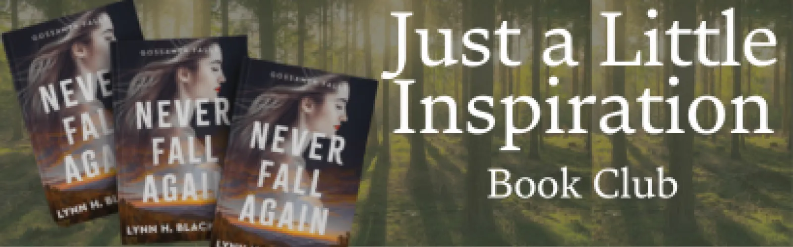 Just a Little Inspiration Book club title with cover of the book Never Fall Again by Lynn H. Blackburn
