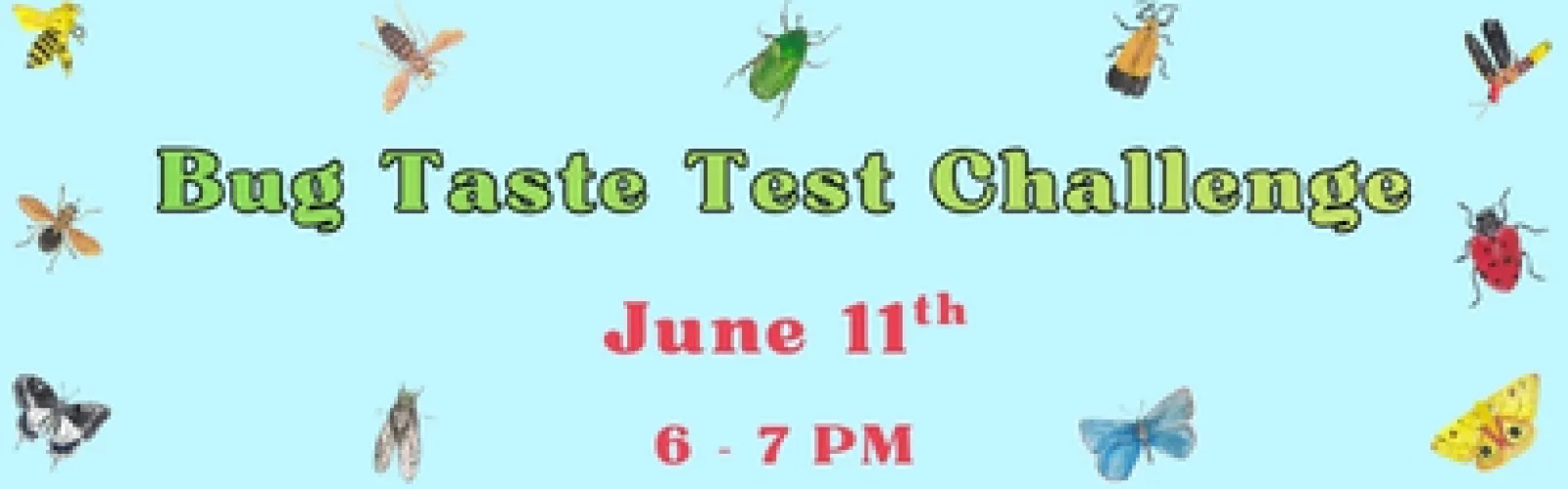 Bug Taste Test Challenge